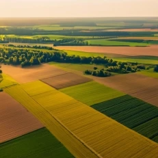 Agricultural landscape