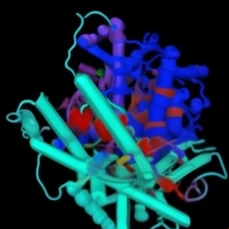 Protein 3D visualization